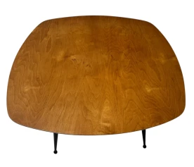Mid-Century Modern TB16 Coffee Table by Cees Braakman for Pastoe, 1953